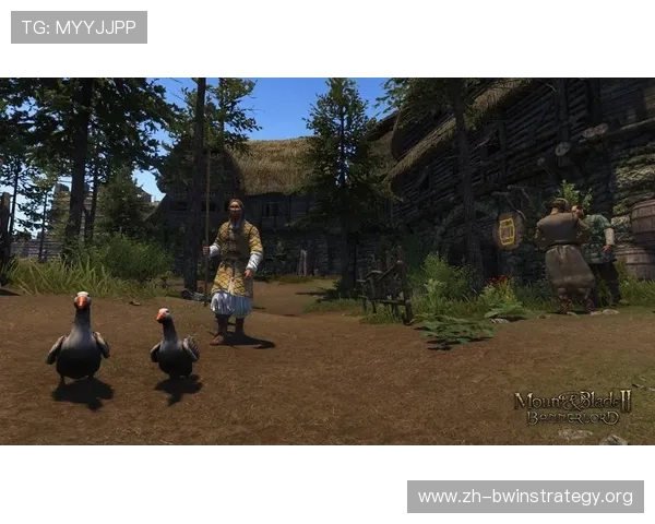 德赢游戏用户评价与口碑分析真实玩家体验分享与建议